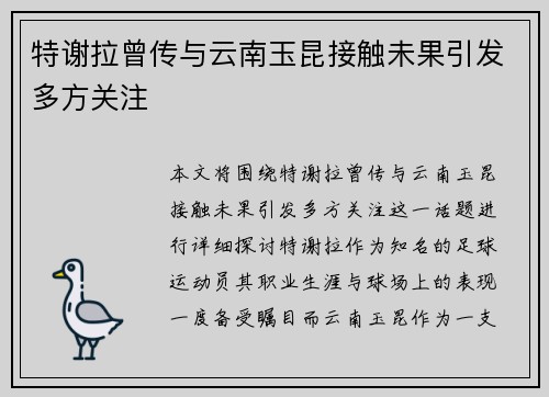 特谢拉曾传与云南玉昆接触未果引发多方关注