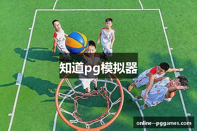知道pg模拟器
